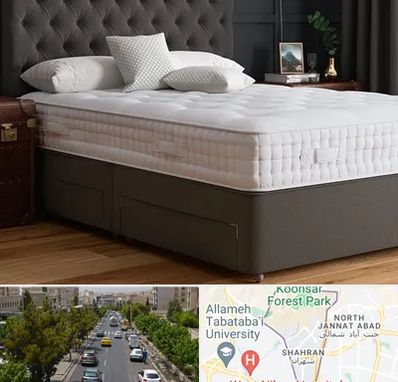 نمایندگی تشک رویا در شهران 