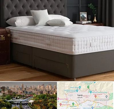 نمایندگی تشک رویا در منطقه 1 تهران 