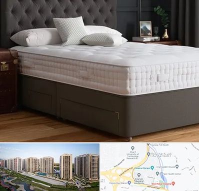 نمایندگی تشک رویا در المپیک 