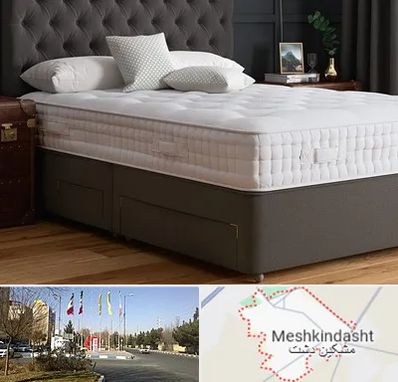 نمایندگی تشک رویا در مشکین دشت