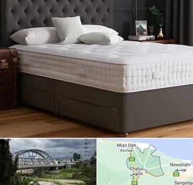 نمایندگی تشک رویا در چالوس