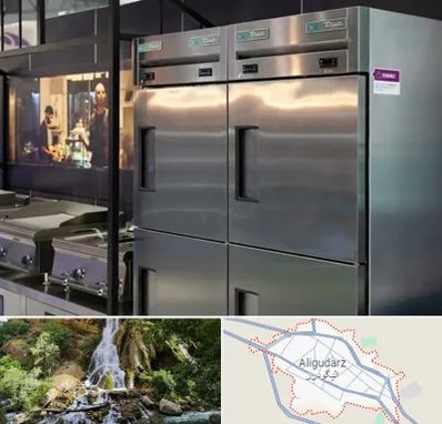 تولید کننده یخچال صنعتی در الیگودرز