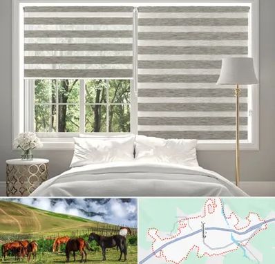 پرده زبرا در تالش