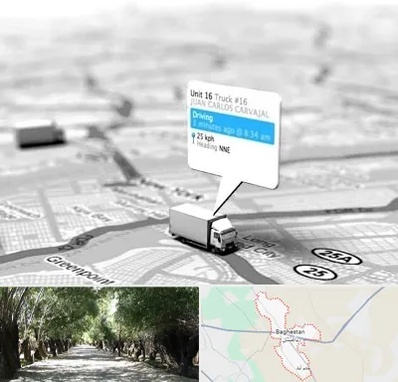 باربری در باغستان