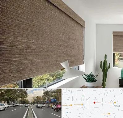 پرده شید در دولت 