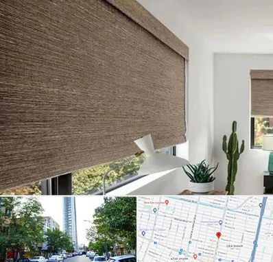 پرده شید در امامت مشهد 