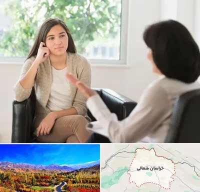 مشاوره جوانان در خراسان شمالی
