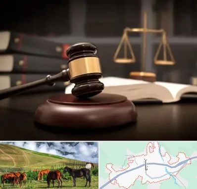 شماره تلفن وکیل در تالش