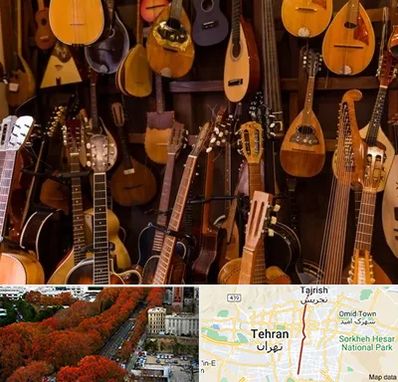 ساز موسیقی قسطی در ولیعصر 