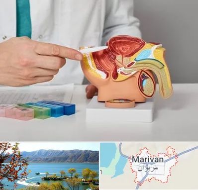 دکتر اورولوژی در مریوان