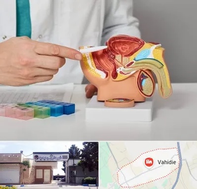 دکتر اورولوژی در وحیدیه شهریار