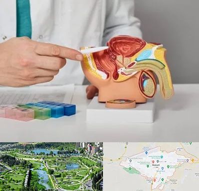 دکتر اورولوژی در بجنورد