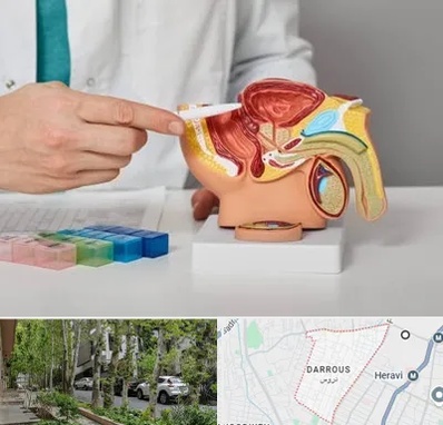 دکتر اورولوژی در دروس