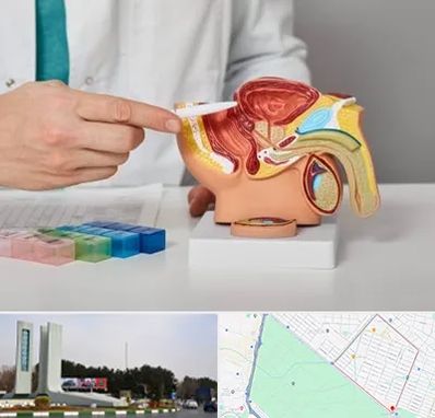 دکتر اورولوژی در بلوار فلسیطین مشهد