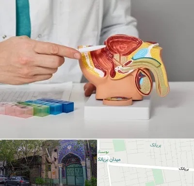 دکتر اورولوژی در بریانک