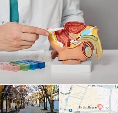دکتر اورولوژی در تربیت تبریز