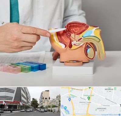 دکتر اورولوژی در بلوار فردوس 