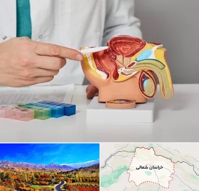 دکتر اورولوژی در خراسان شمالی