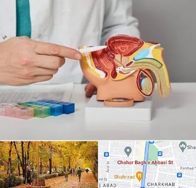 دکتر اورولوژی در چهارباغ اصفهان 