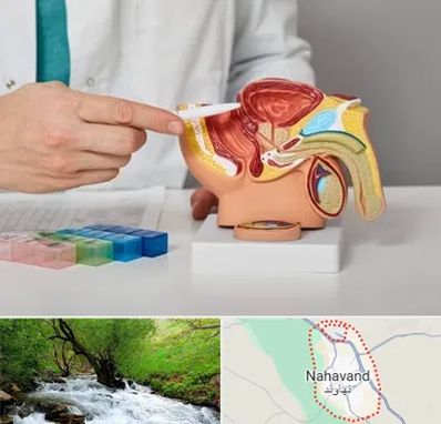 دکتر اورولوژی در نهاوند