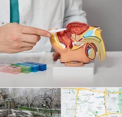 دکتر اورولوژی در باغ فیض 