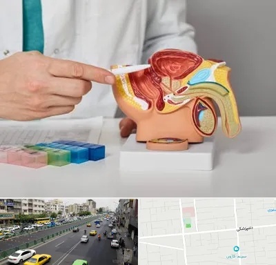 دکتر اورولوژی در خیابان دامپزشکی