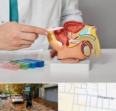 دکتر اورولوژی در خیابان فلسطین