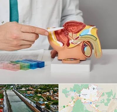 دکتر اورولوژی در مراغه