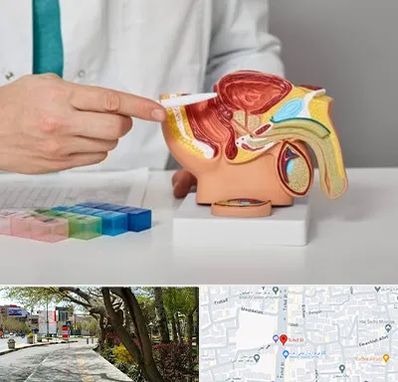 دکتر اورولوژی در خیابان توحید اصفهان 