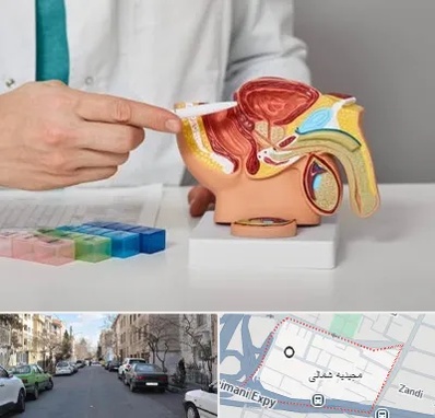 دکتر اورولوژی در مجیدیه شمالی