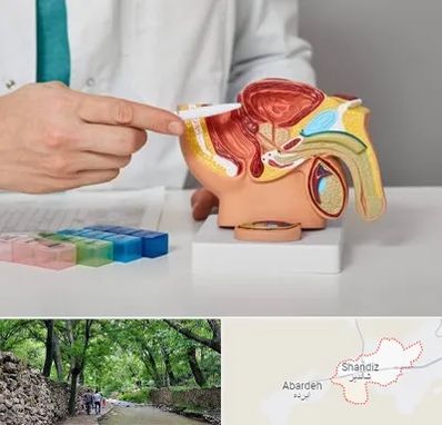 دکتر اورولوژی در شاندیز مشهد