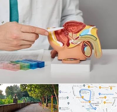 دکتر اورولوژی در بلوار گیلان رشت 