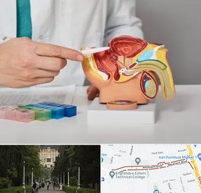 دکتر اورولوژی در بلوار معلم رشت 