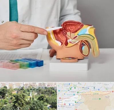 دکتر اورولوژی در منطقه 13 تهران 