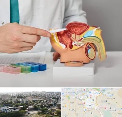 دکتر اورولوژی در منطقه 20 تهران 