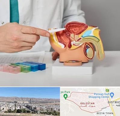دکتر اورولوژی در شهرک گلستان شیراز 