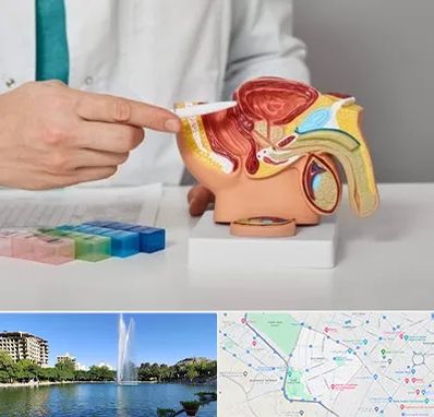 دکتر اورولوژی در کوهسنگی مشهد 