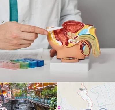 دکتر اورولوژی در درکه