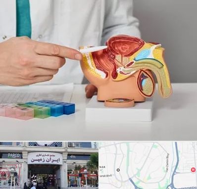 دکتر اورولوژی در ایران زمین