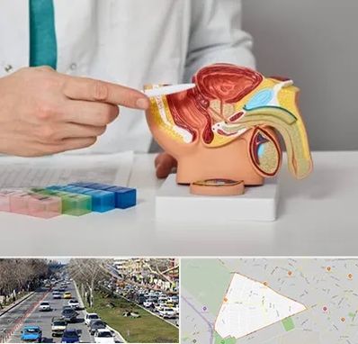 دکتر اورولوژی در احمدآباد مشهد 