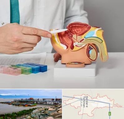 دکتر اورولوژی در بندر ترکمن