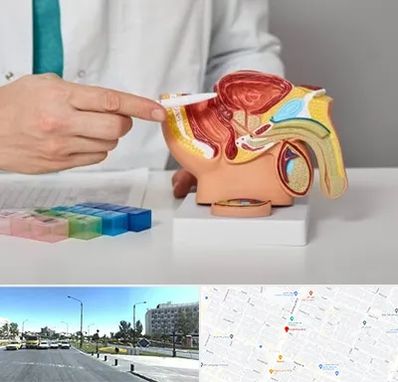 دکتر اورولوژی در بلوار کلاهدوز مشهد 