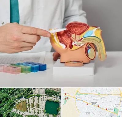 دکتر اورولوژی در وکیل آباد مشهد 