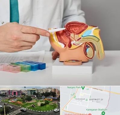 دکتر اورولوژی در تهرانسر 