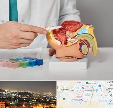دکتر اورولوژی در مارلیک کرج 