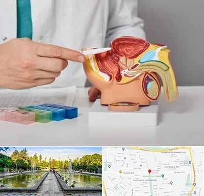 دکتر اورولوژی در سرسبز