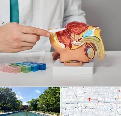 دکتر اورولوژی در هشت بهشت اصفهان 