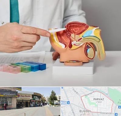 دکتر اورولوژی در پرواز تبریز