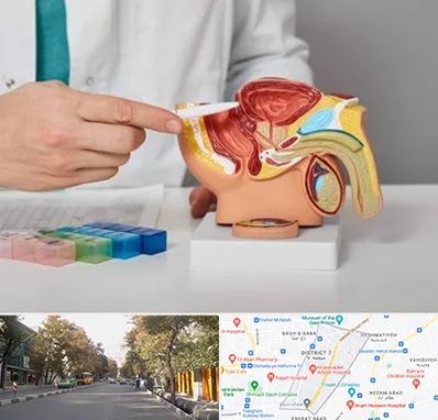 دکتر اورولوژی در شریعتی 