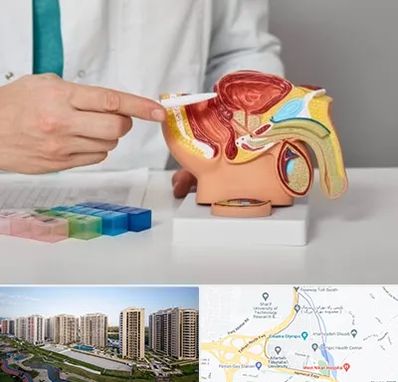 دکتر اورولوژی در المپیک 